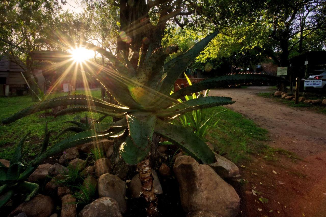 Doringpoort Lodge Kruger National Park Dış mekan fotoğraf