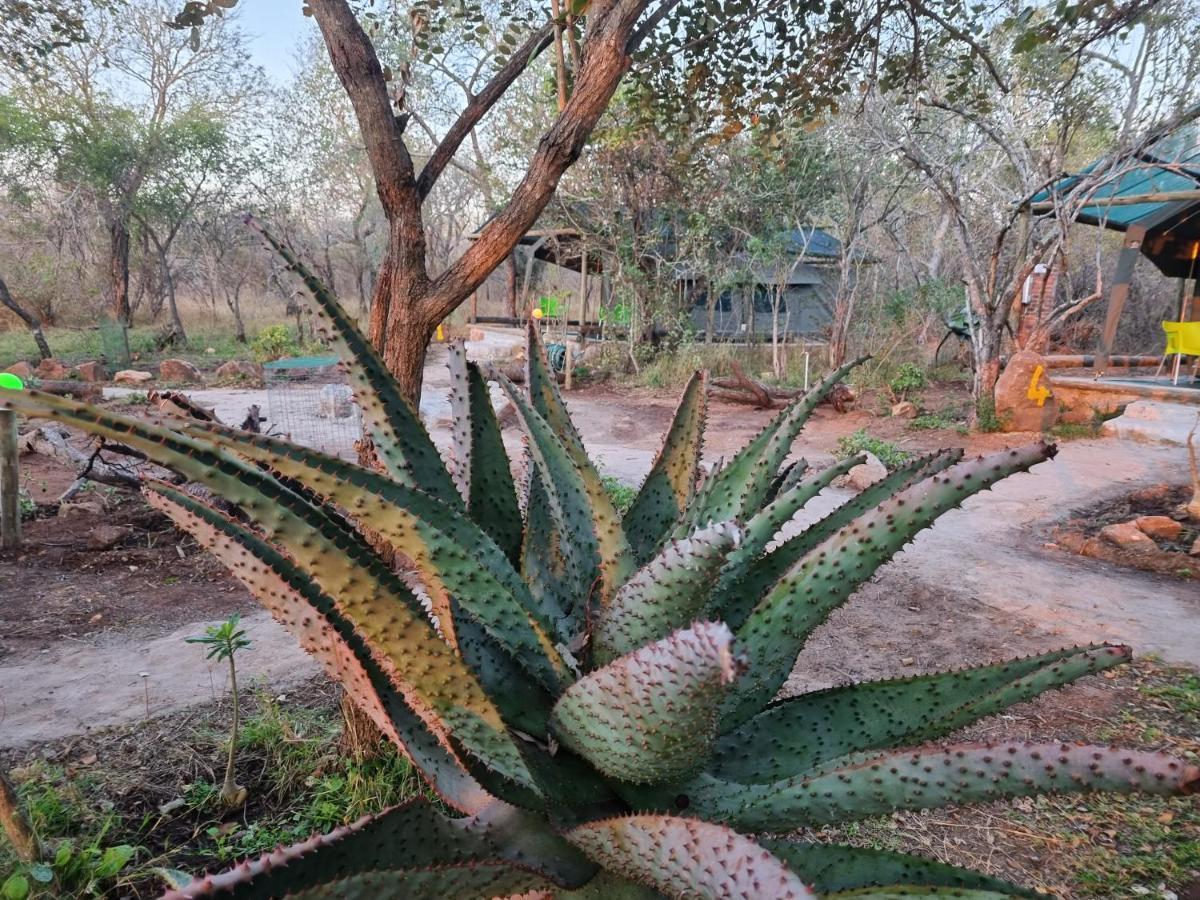 Doringpoort Lodge Kruger National Park Dış mekan fotoğraf