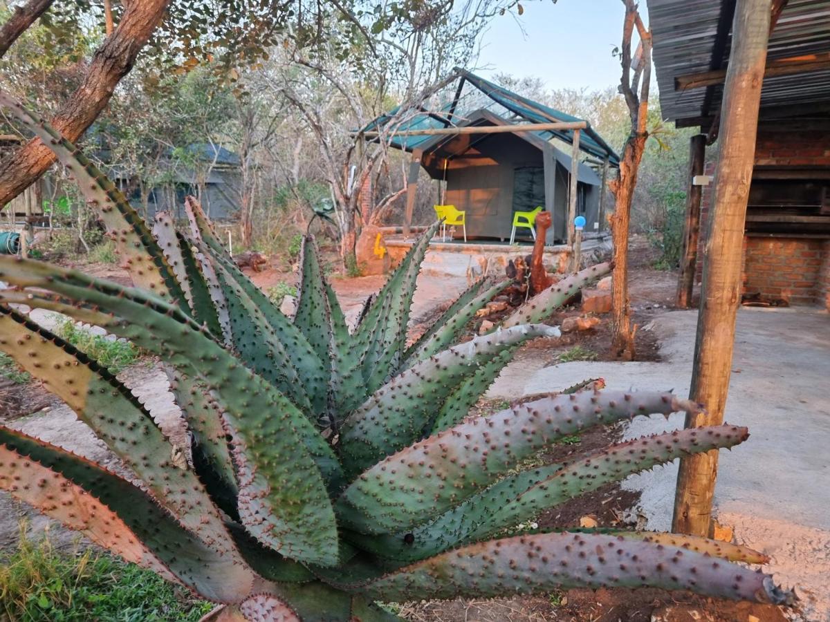 Doringpoort Lodge Kruger National Park Dış mekan fotoğraf