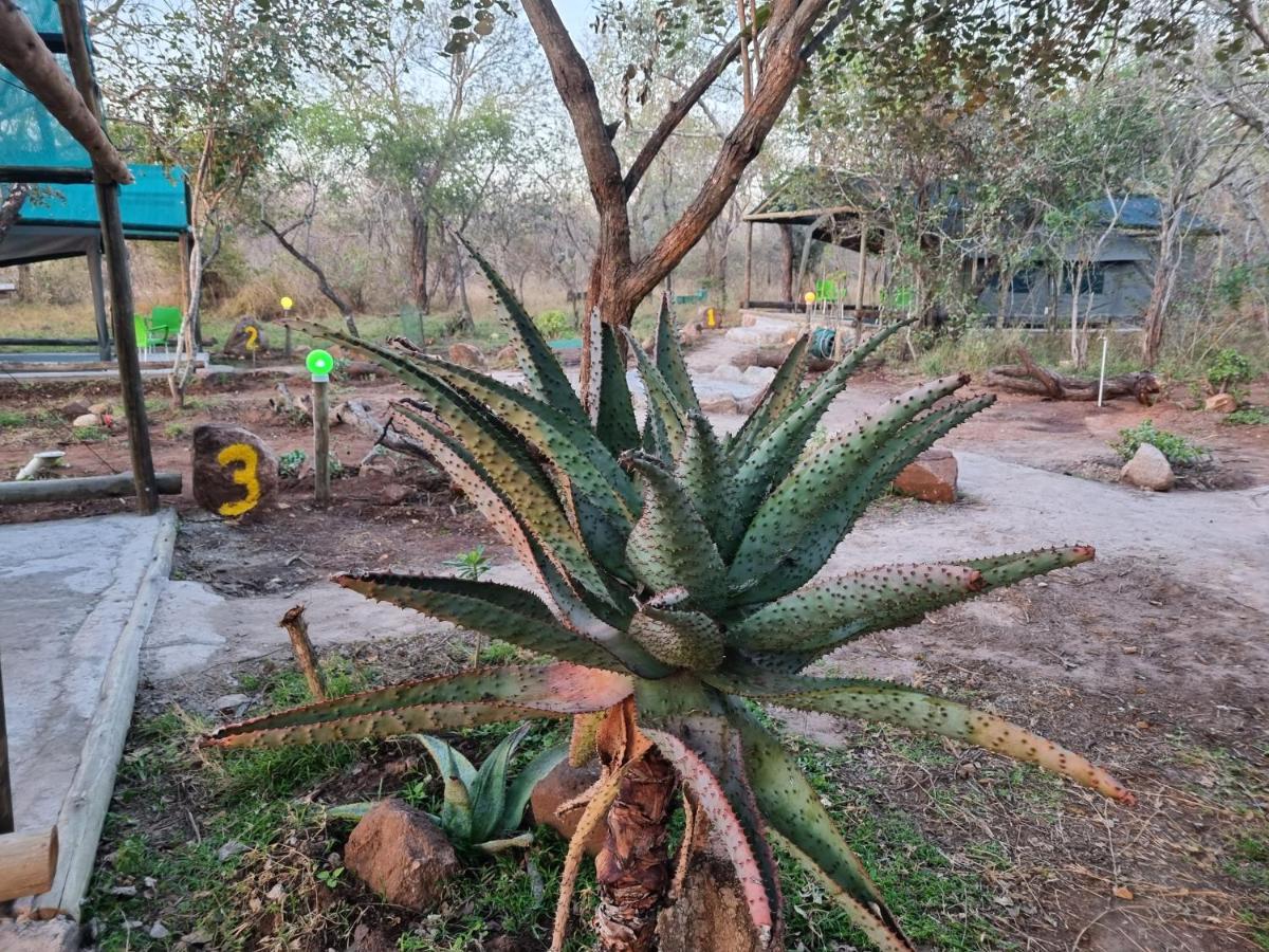 Doringpoort Lodge Kruger National Park Dış mekan fotoğraf