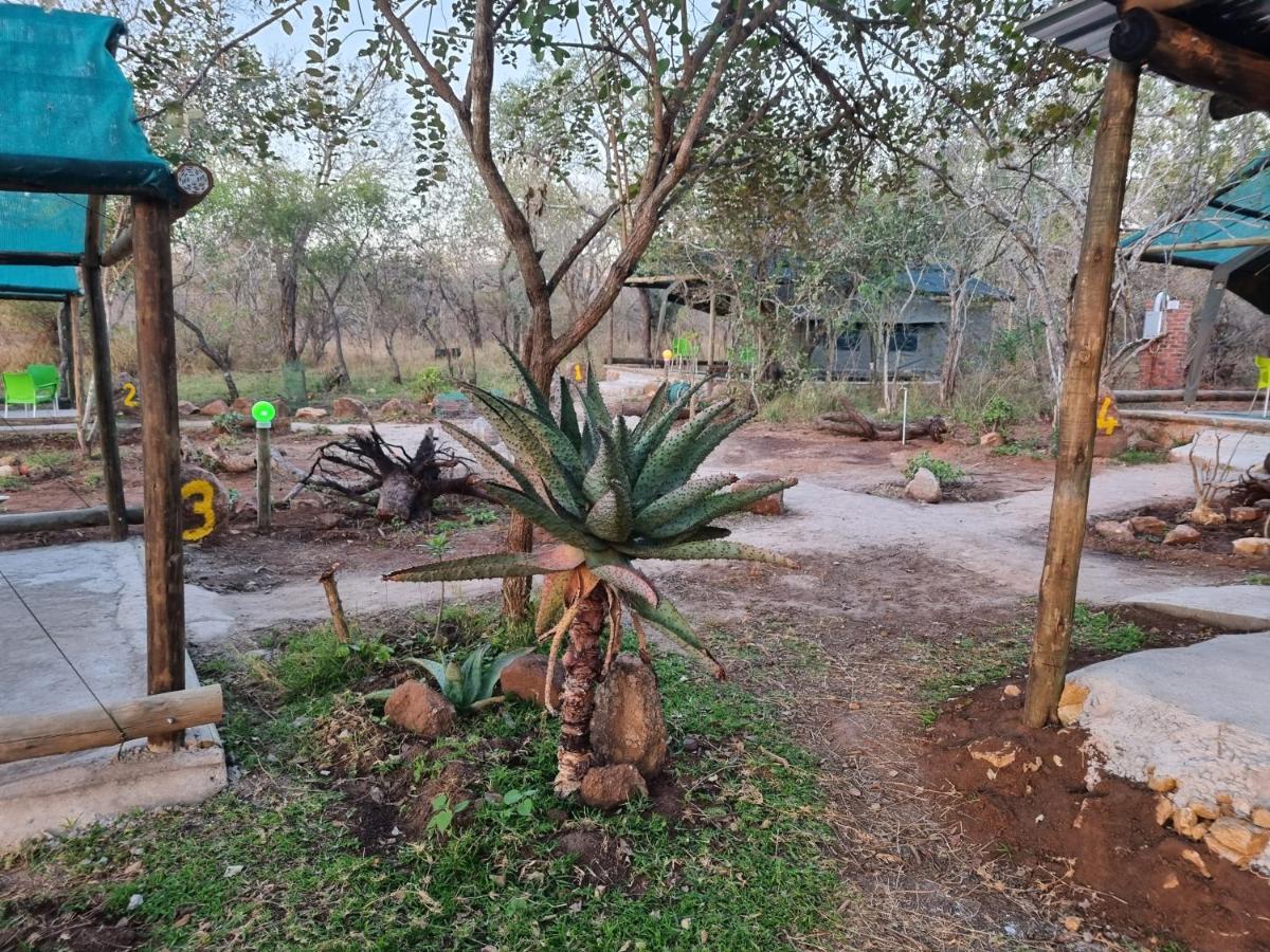 Doringpoort Lodge Kruger National Park Dış mekan fotoğraf