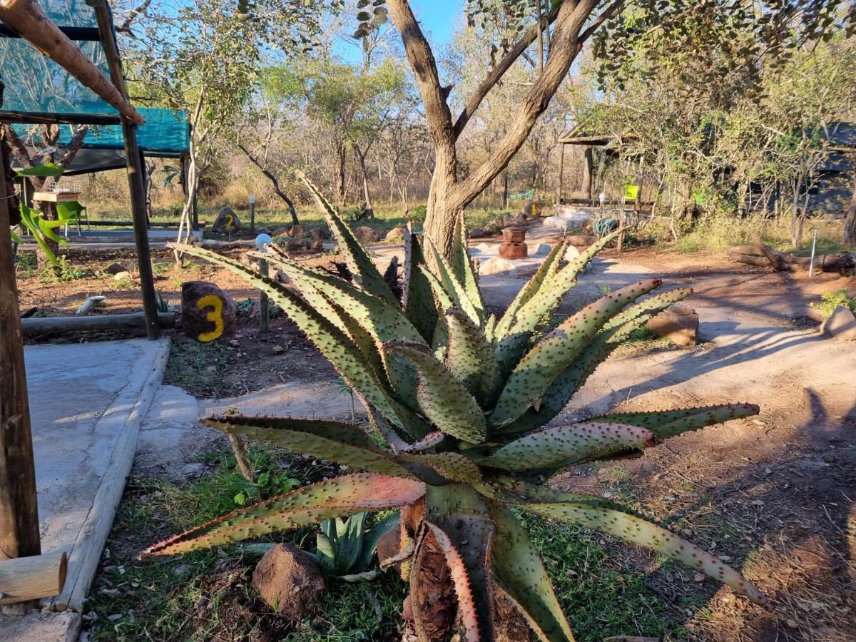 Doringpoort Lodge Kruger National Park Dış mekan fotoğraf